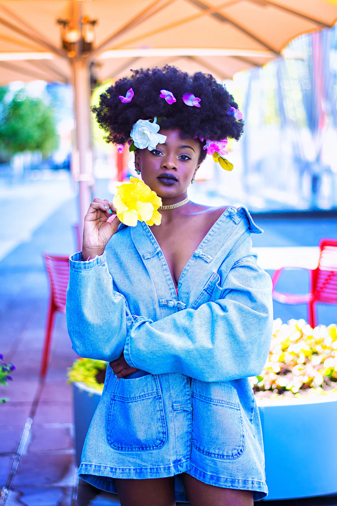 Transformez Votre Passion pour la Beauté Afro en Business Rentable