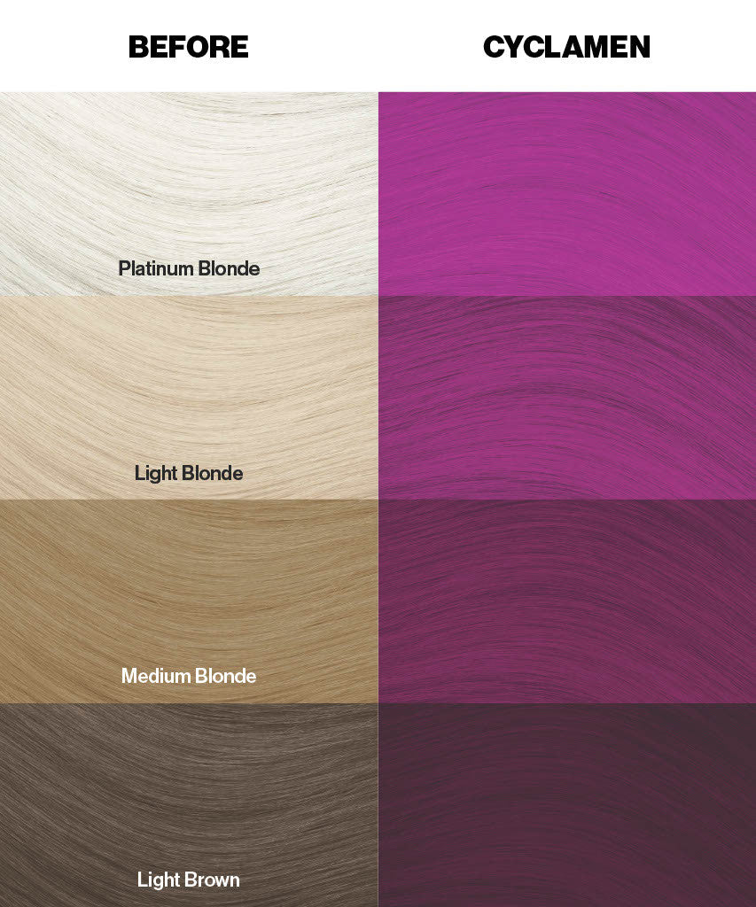 Color swatches for hair color with 'Before' and 'Cyclamen' options By ABS France Wholesale.
