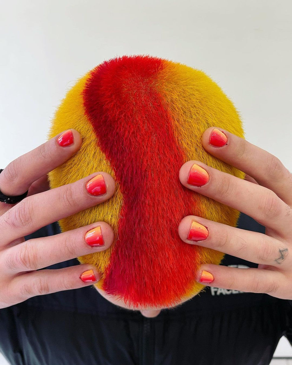 Crazy Color's person with multi hair color by ABS France Wholesale