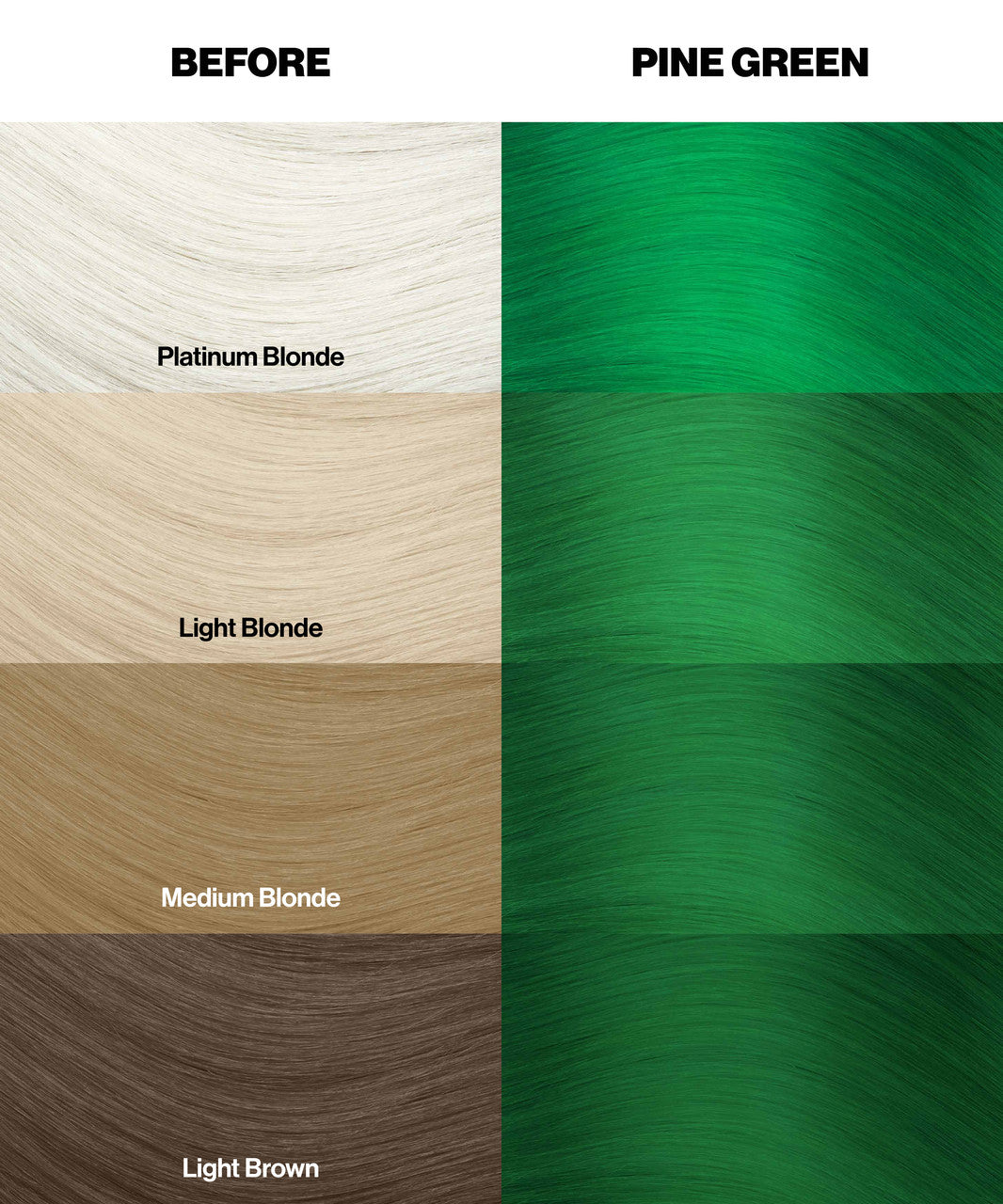Crazy Color Vert Sapin (pine Green) Color swatches for hair color before and after a change to pine green, with labels for platinum blonde, light blonde, medium blonde, and light brown by ABS France Wholesale