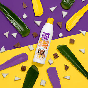 Dark & Lovely Beautiful Beginnings 2-in-1 Easy Shampoo 250ml - ABS France Wholesale