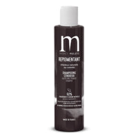 Shampooing Repigmentant Cendreur Mulato 200ml